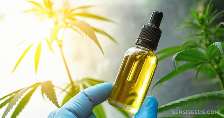 What is CBDA? Benefits Explained